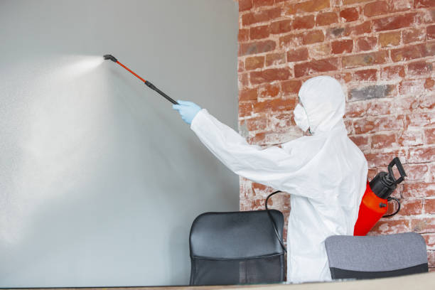 Best Mold Remediation for Healthcare Facilities  in Fulton, NY