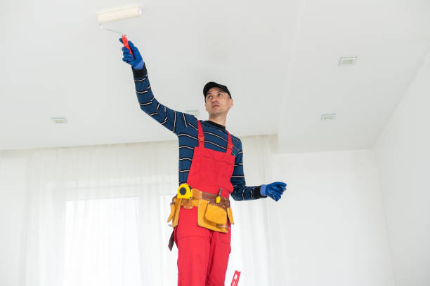 Best Comprehensive Air Testing for Mold Contaminants  in Fulton, NY