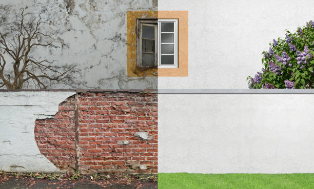 Best Mold Odor Removal Services  in Fulton, NY