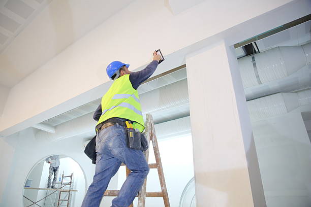 Trusted Fulton, NY Mold Removal Experts