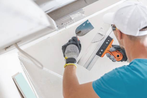 Best Basement Mold Removal  in Fulton, NY